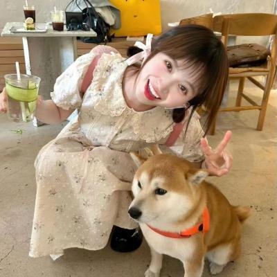加菲猫的幸福生活第二季