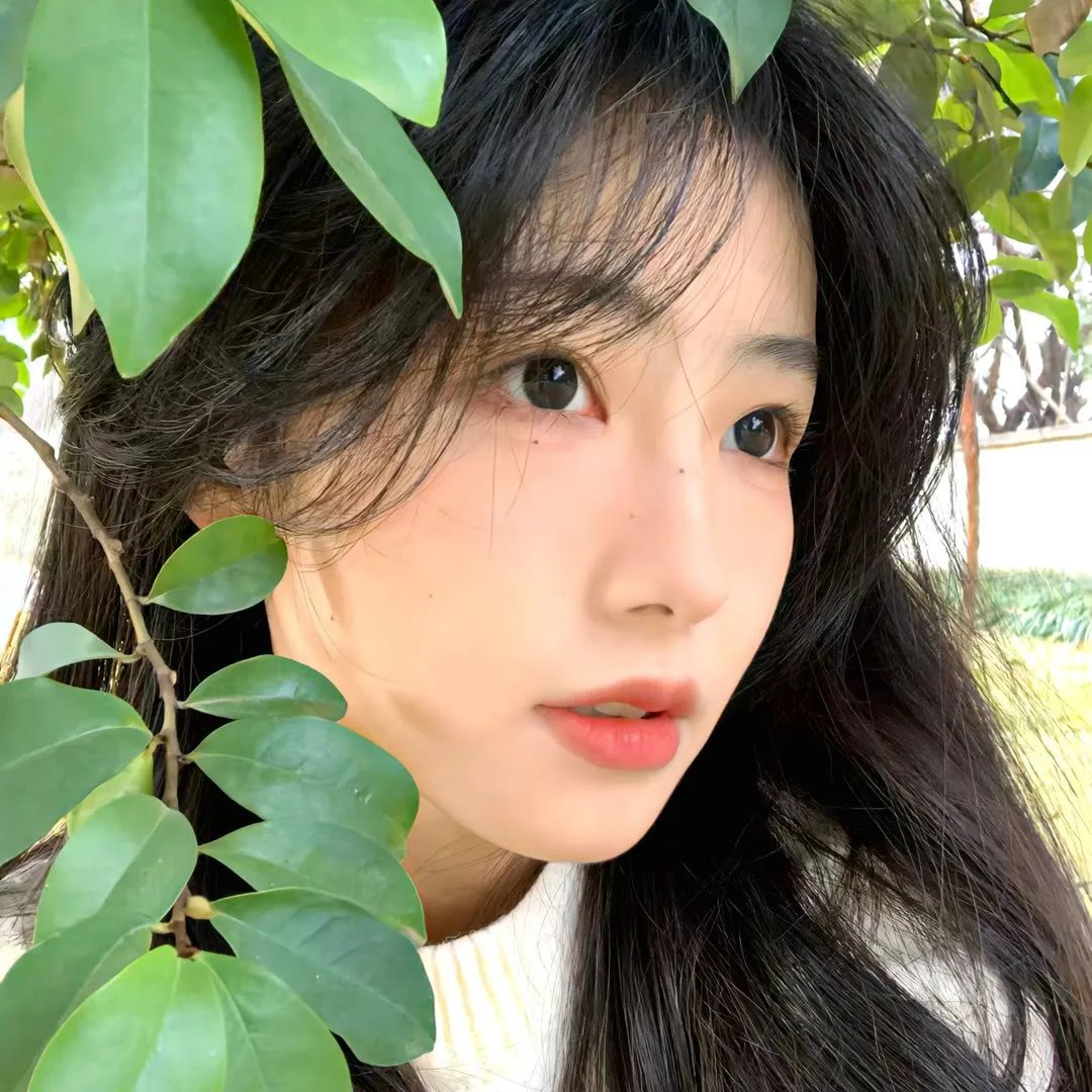 青年近卫军
